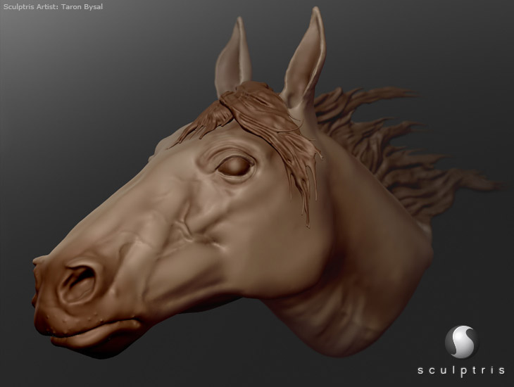 Sculptris 3D Modeling Software