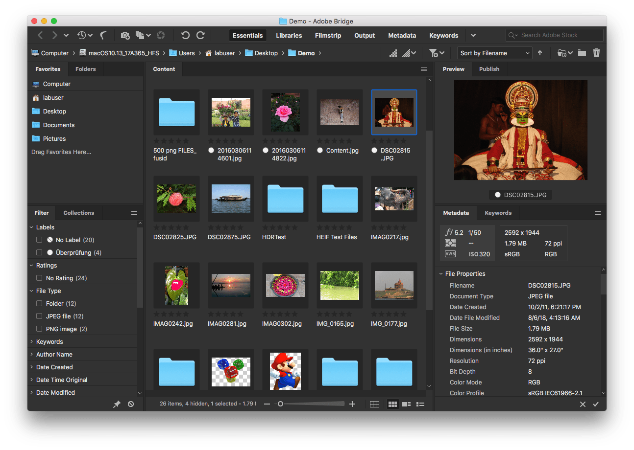 Adobe Bridge Photo Management Software