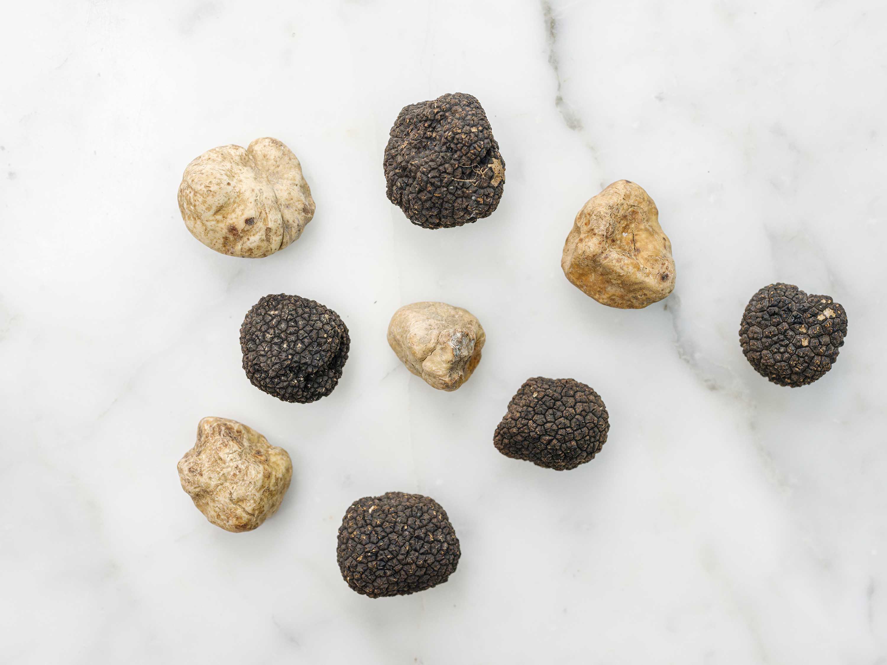 Truffles ChefSteps