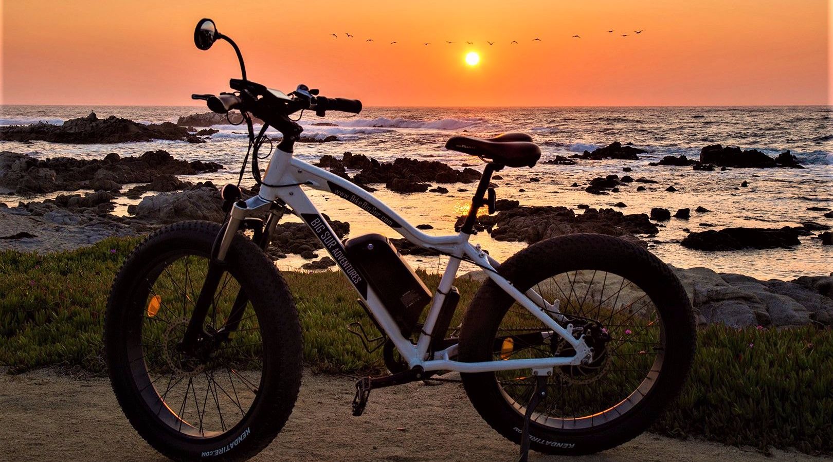 17Mile Drive eBike Tour Book Tours & Activities at