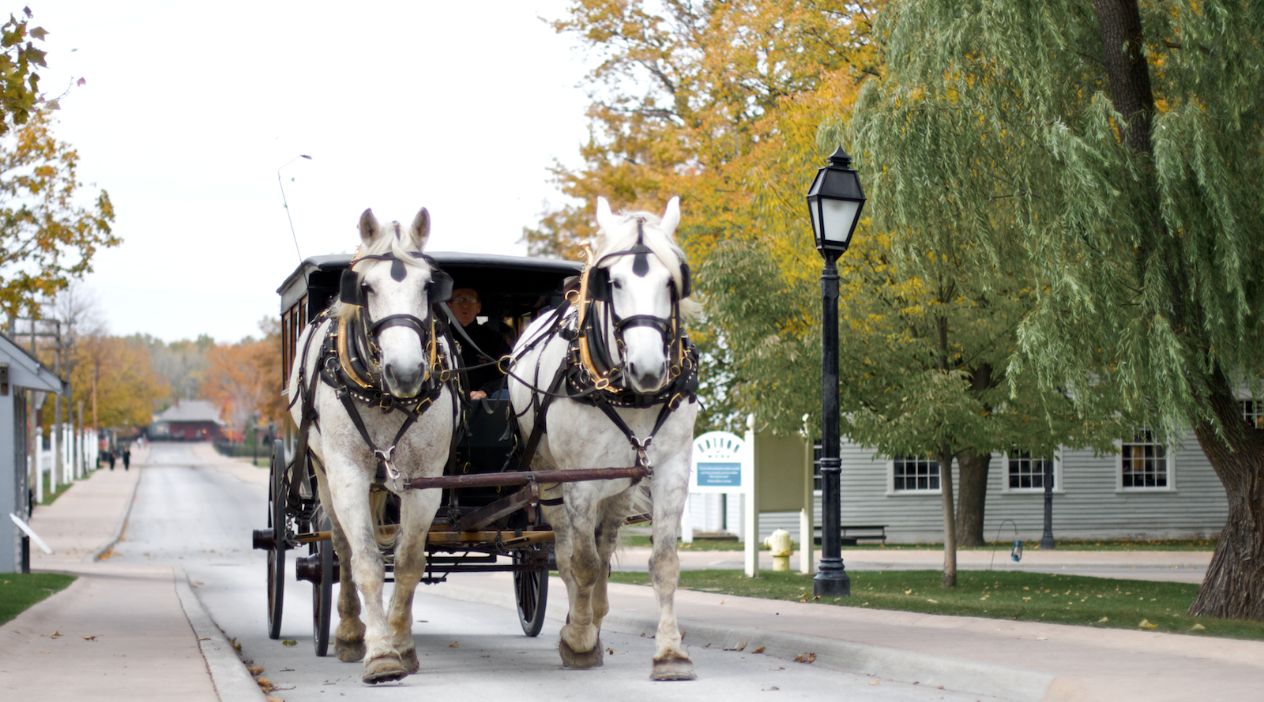 Horse Drawn Carriage Tour in Charleston Book Tours & Activities at