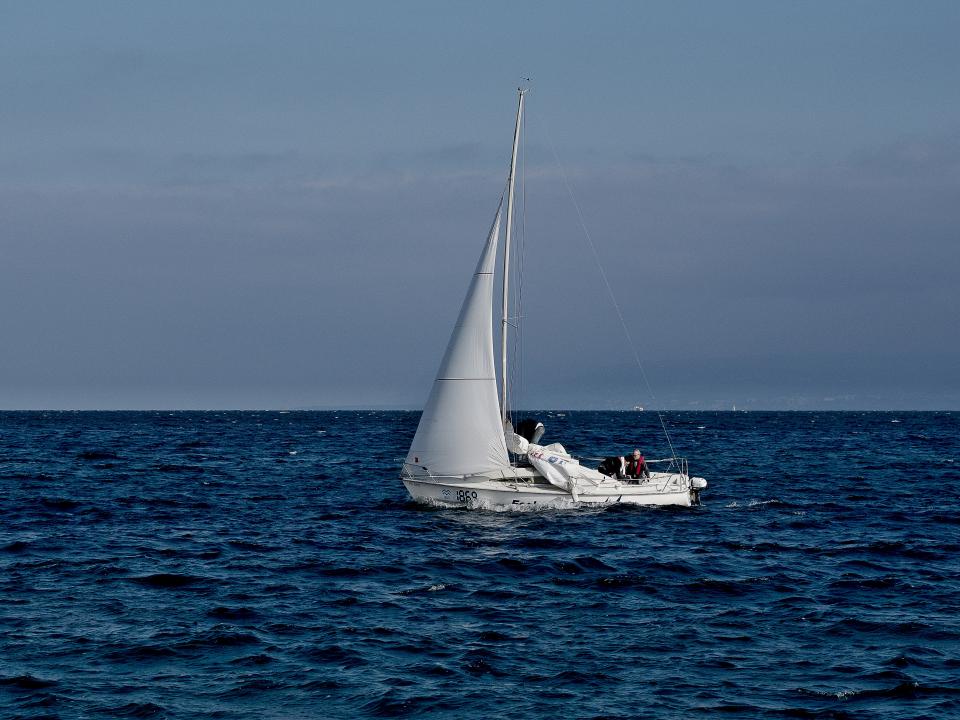Beginner's Guide to Getting Started with Sails.js Codementor
