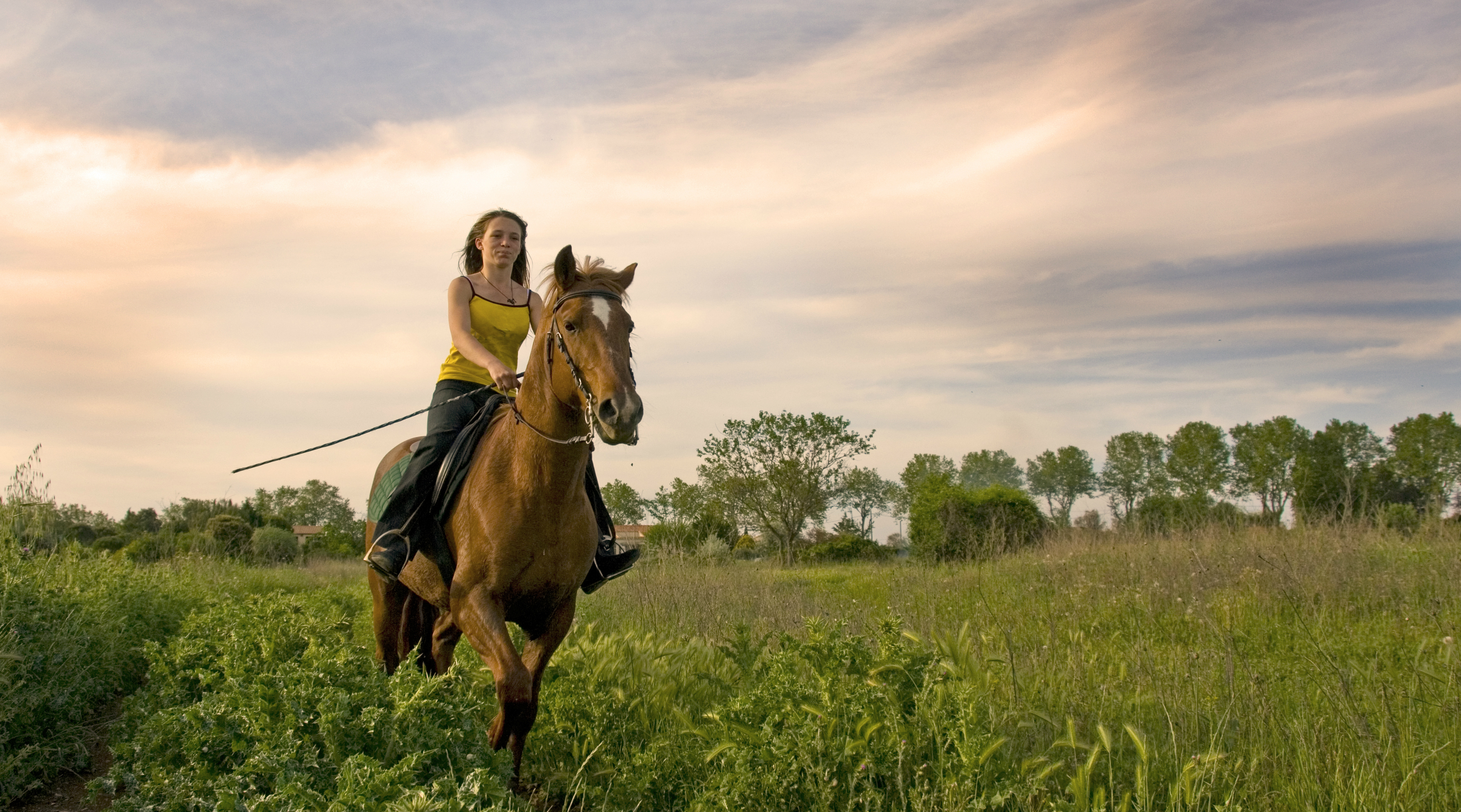 Zuma Canyon Horseback Ride in Agoura Hills Book Tours & Activities at