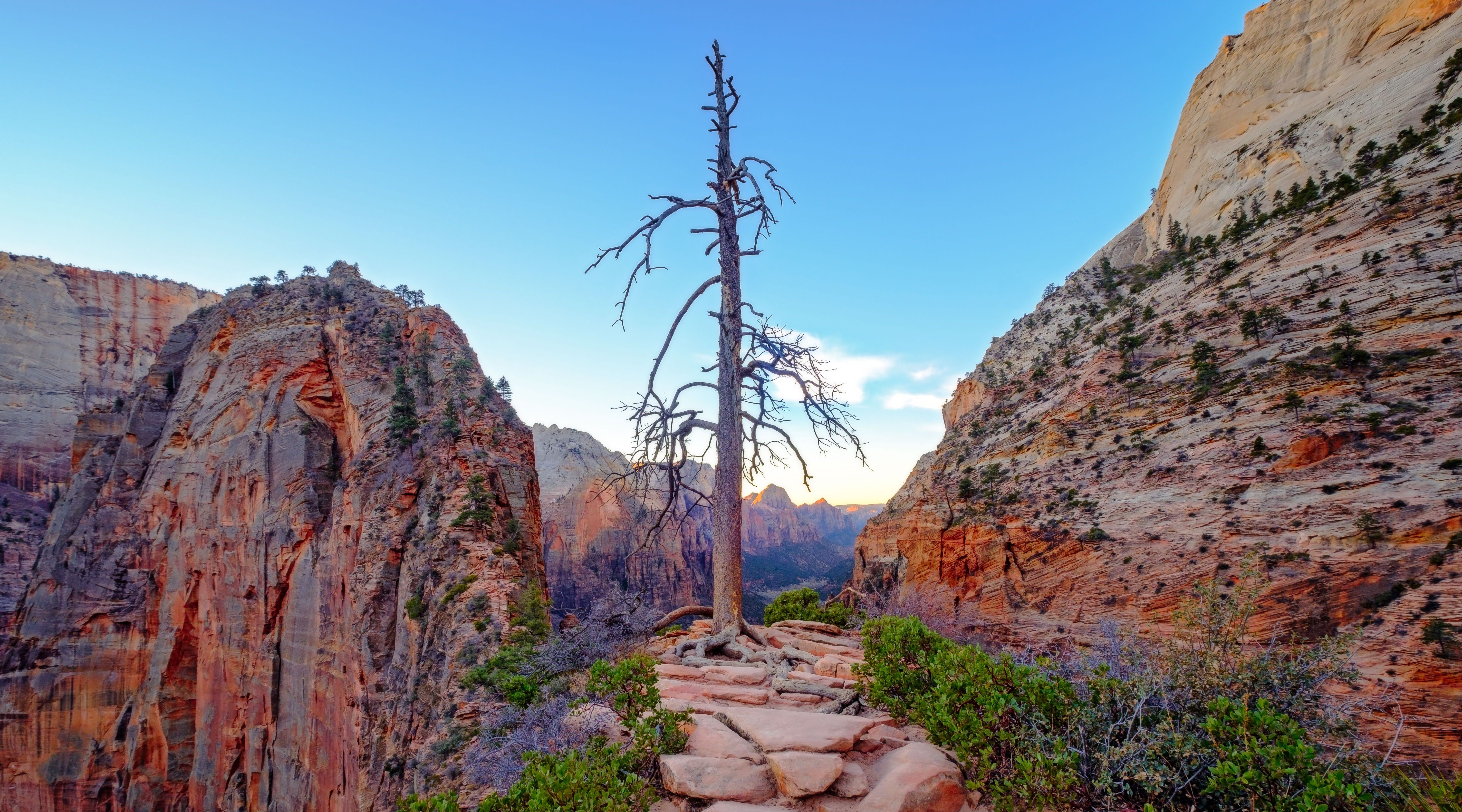 FullDay Zion National Park Tour in Las Vegas Book Tours