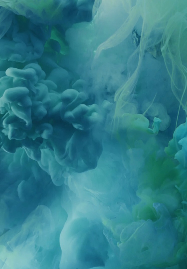 Number one fan RapPad