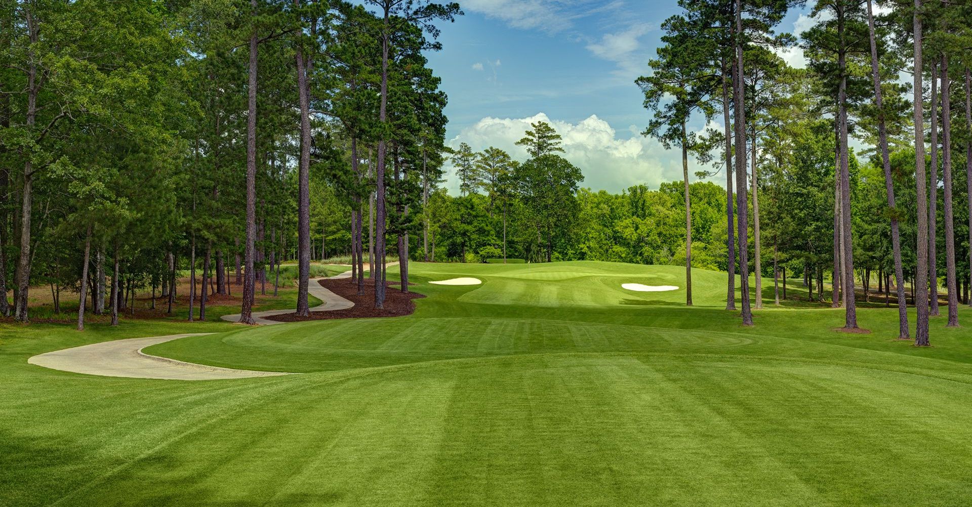 All In for Miller Golf Tournament All In for Miller (Powered by Donorbox)