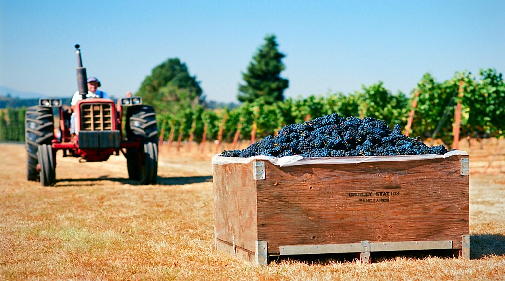 Napa Winery Tour in Napa and Sonoma Book Tours & Activities at