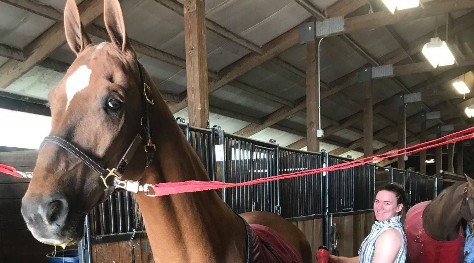 1Hour Marshall Canyon Horseback Ride in La Verne Book Tours
