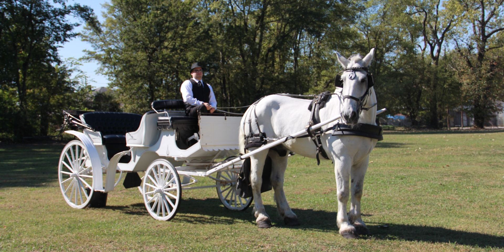 Carriage Tour of Cotton Row in Memphis Book Tours & Activities at