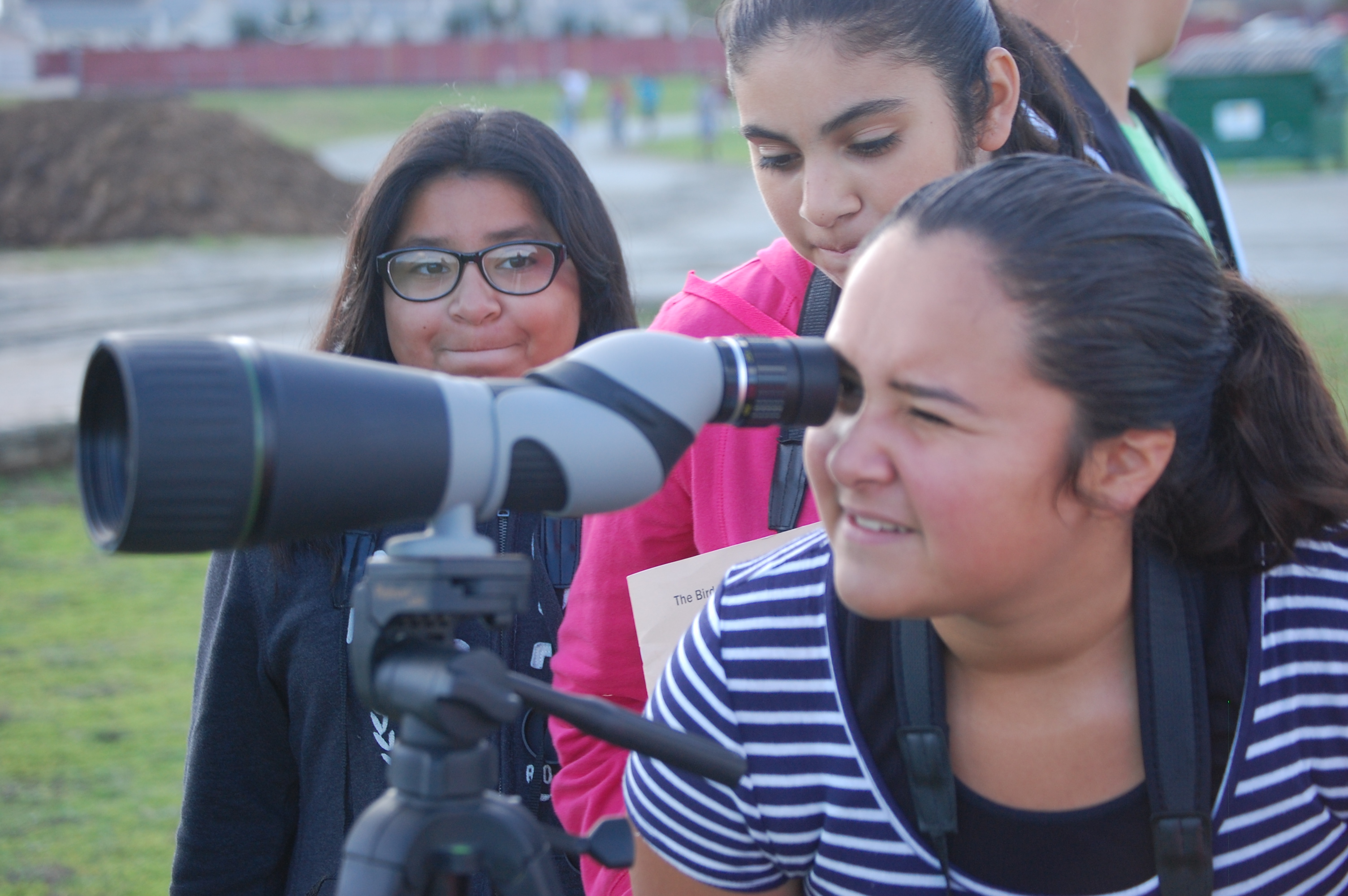 Donate to The Bird School Project! The Bird School Project (Powered