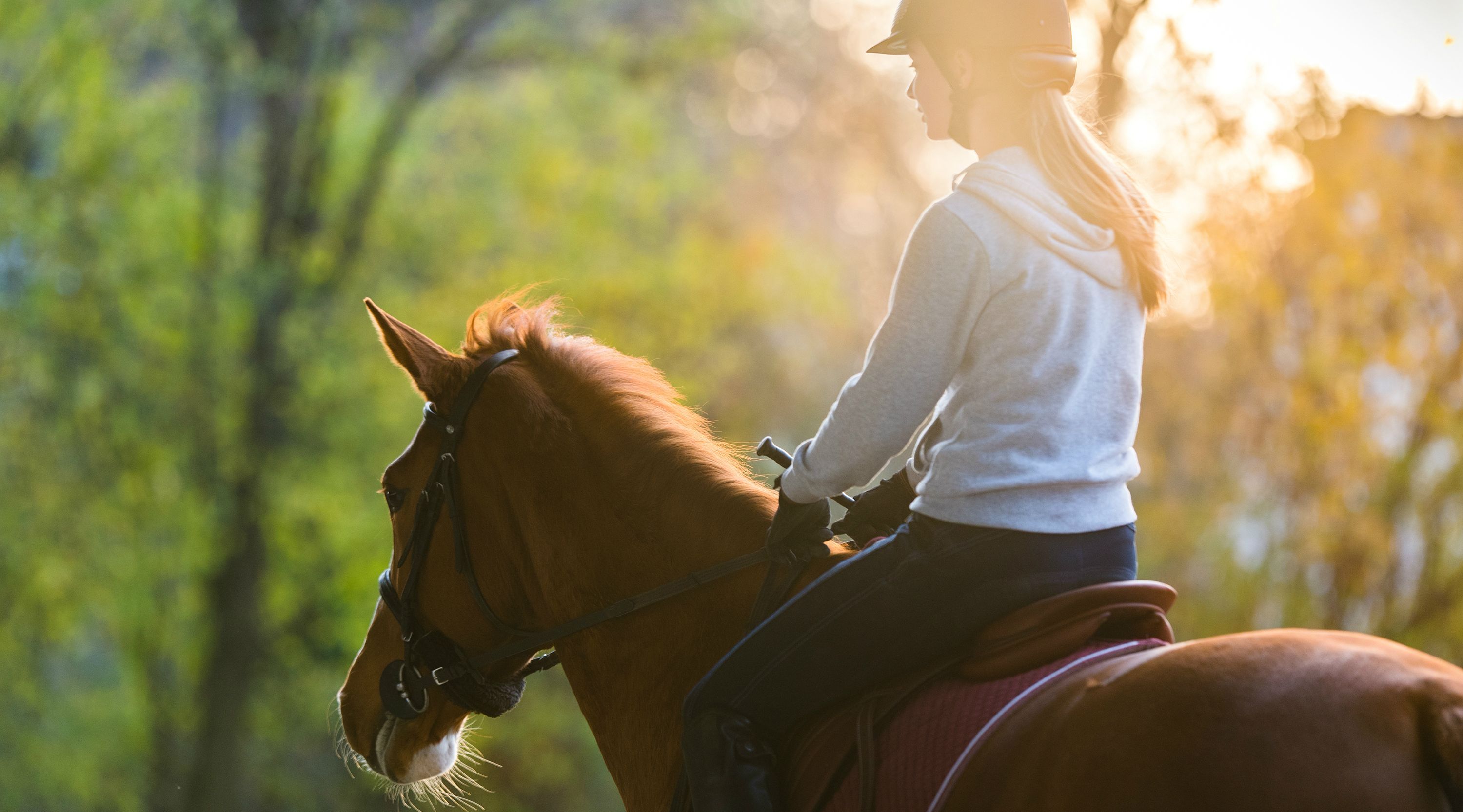 1Hour Horseback Trail Ride in Waterloo Book Tours & Activities at
