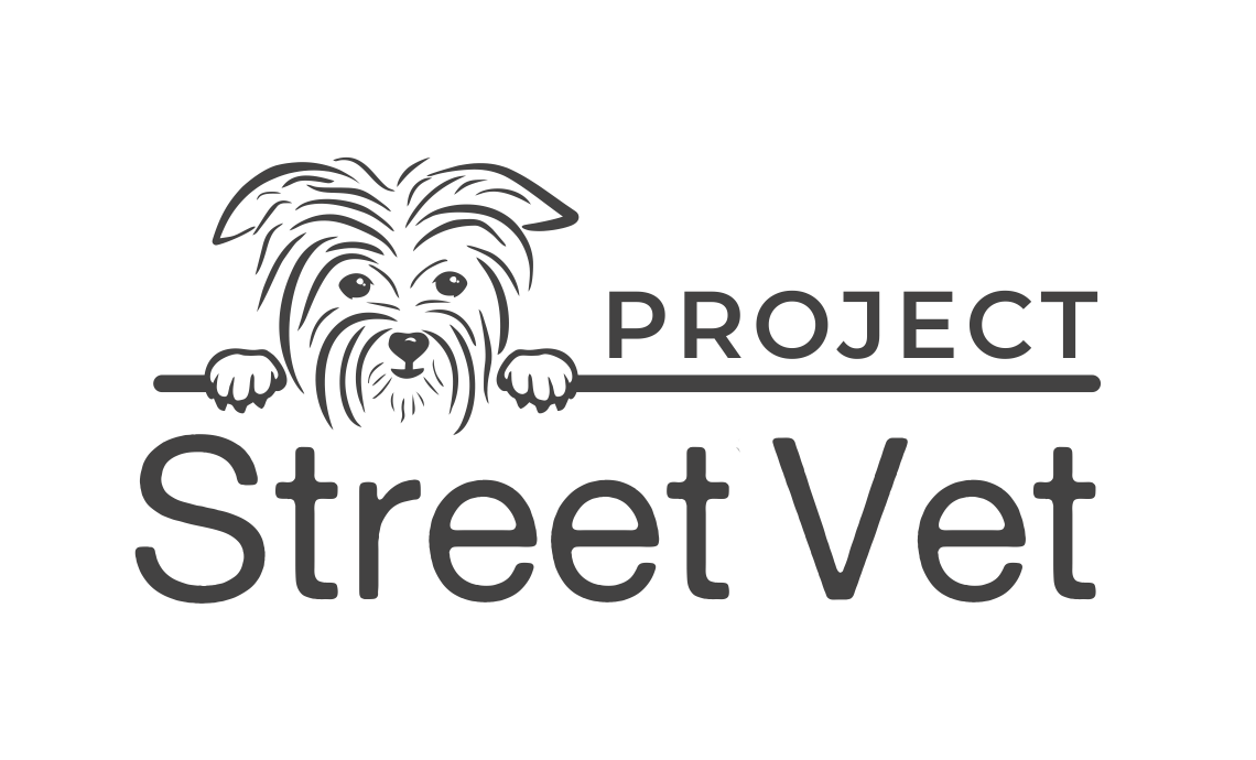 Support Project Street Vet Project Street Vet (Powered by Donorbox)