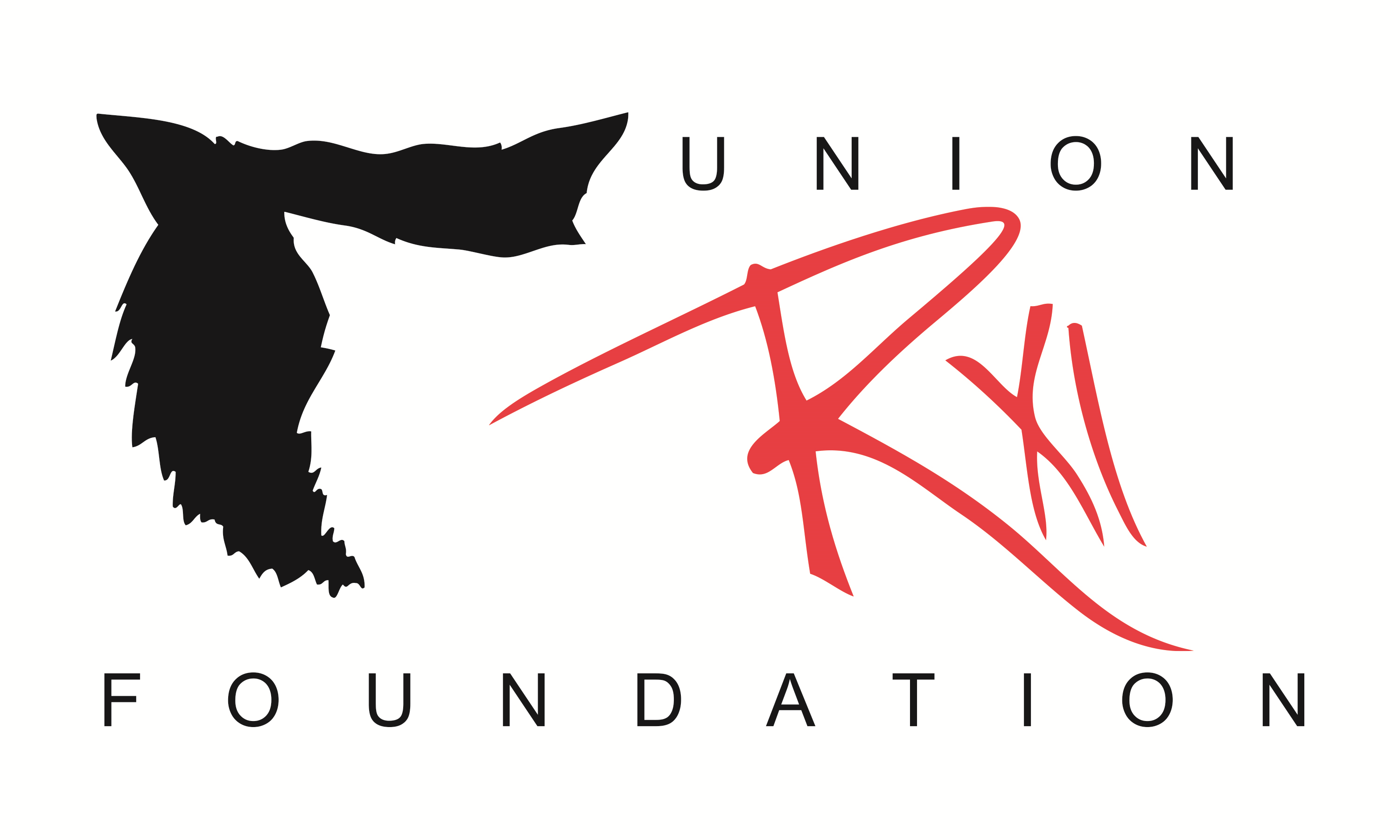 Union RXI School Foundation Donation Page Union RXI Foundation