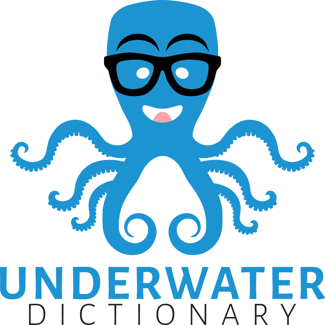 Underwater Dictionary Underwater Dictionary (Powered by Donorbox)