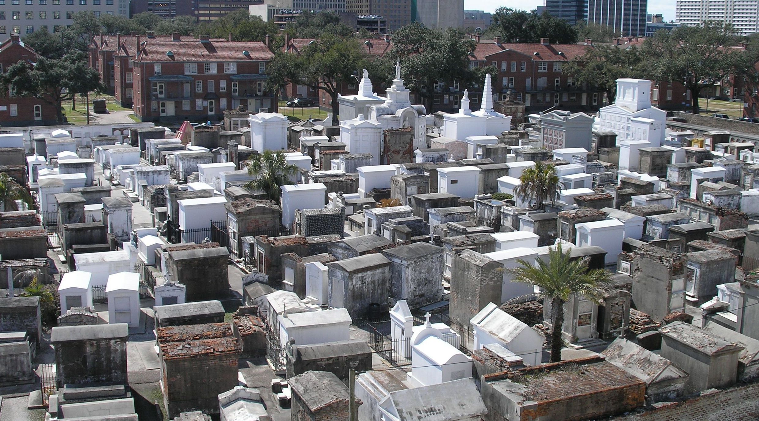 Historic Cemetery St. Louis No. 1 Tour in New Orleans Book Tours