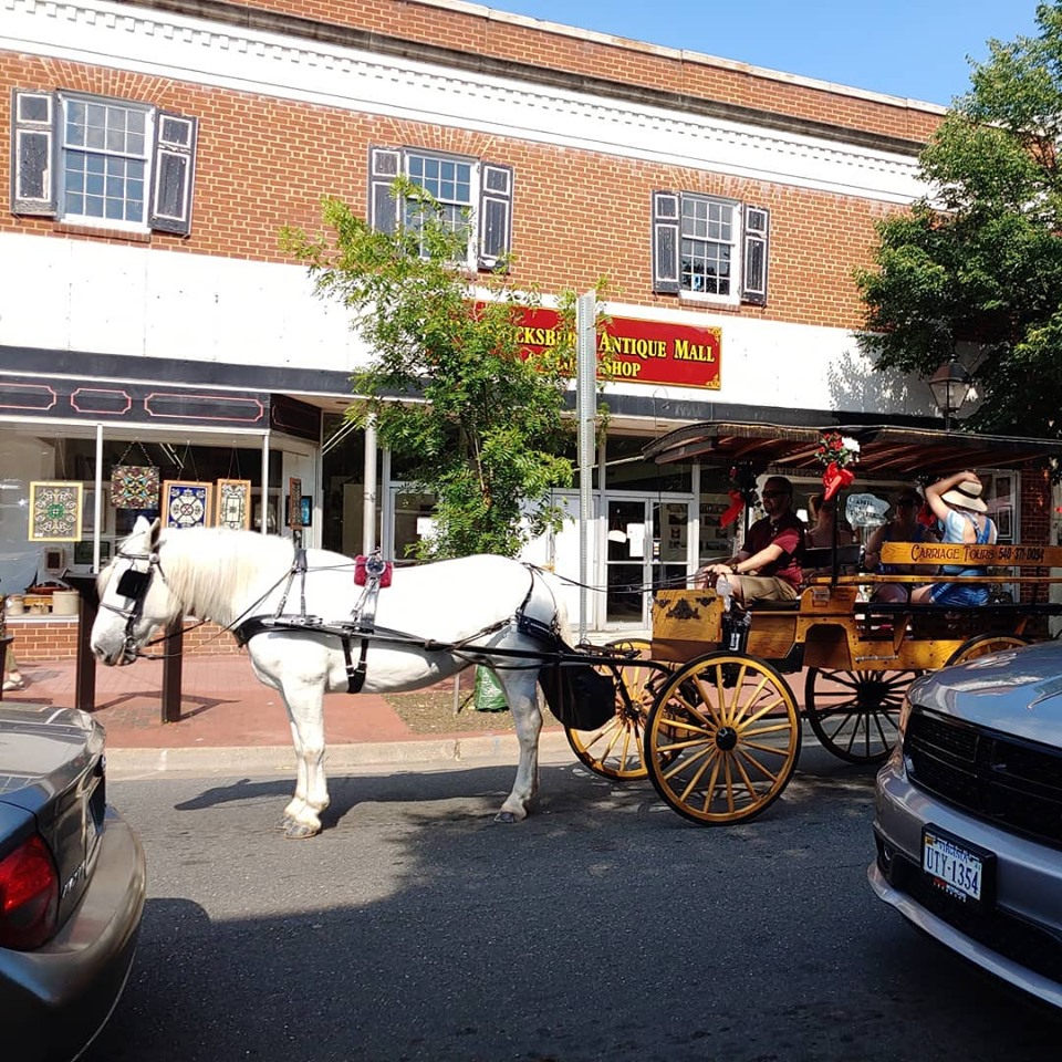 Private Fredericksburg Horse Carriage Ride Book Tours & Activities at