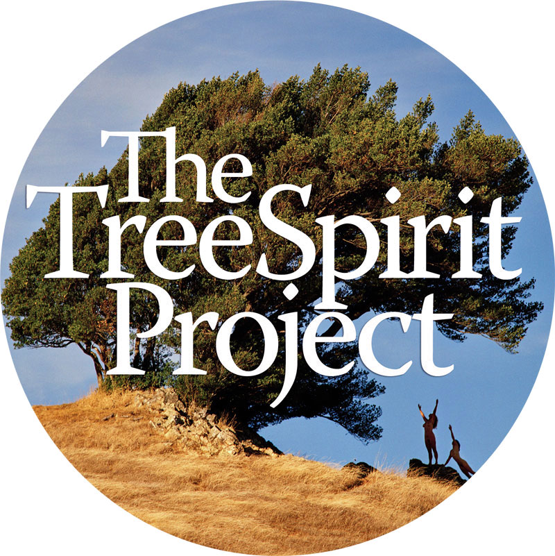 Support TreeSpirit's Environmental Advocacy & Activism The TreeSpirit