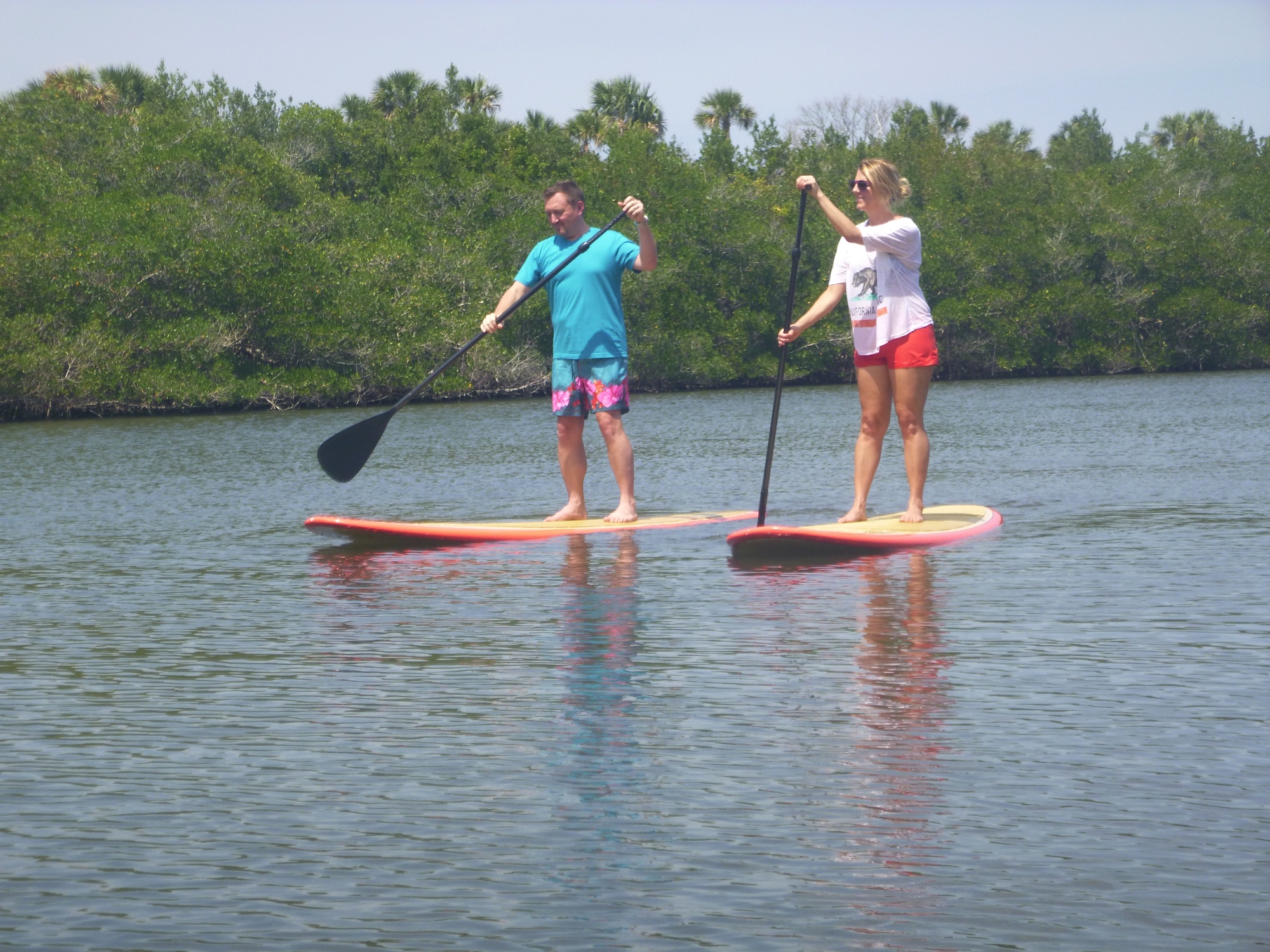 StandUp Paddleboard Rental in Florida Book Tours & Activities at