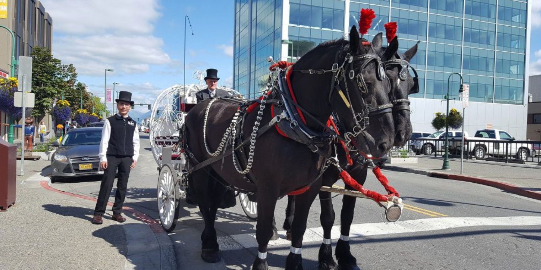 30Minute Horse Drawn Carriage Ride of Downtown Anchorage Book Tours