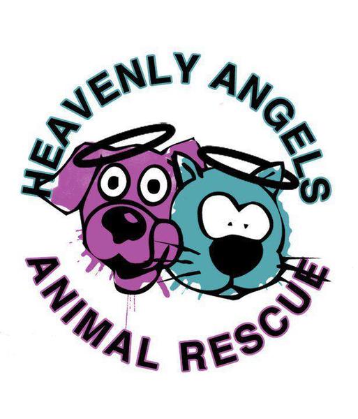 Heavenly Angels Animal Rescue's Campaign! Custom Ink