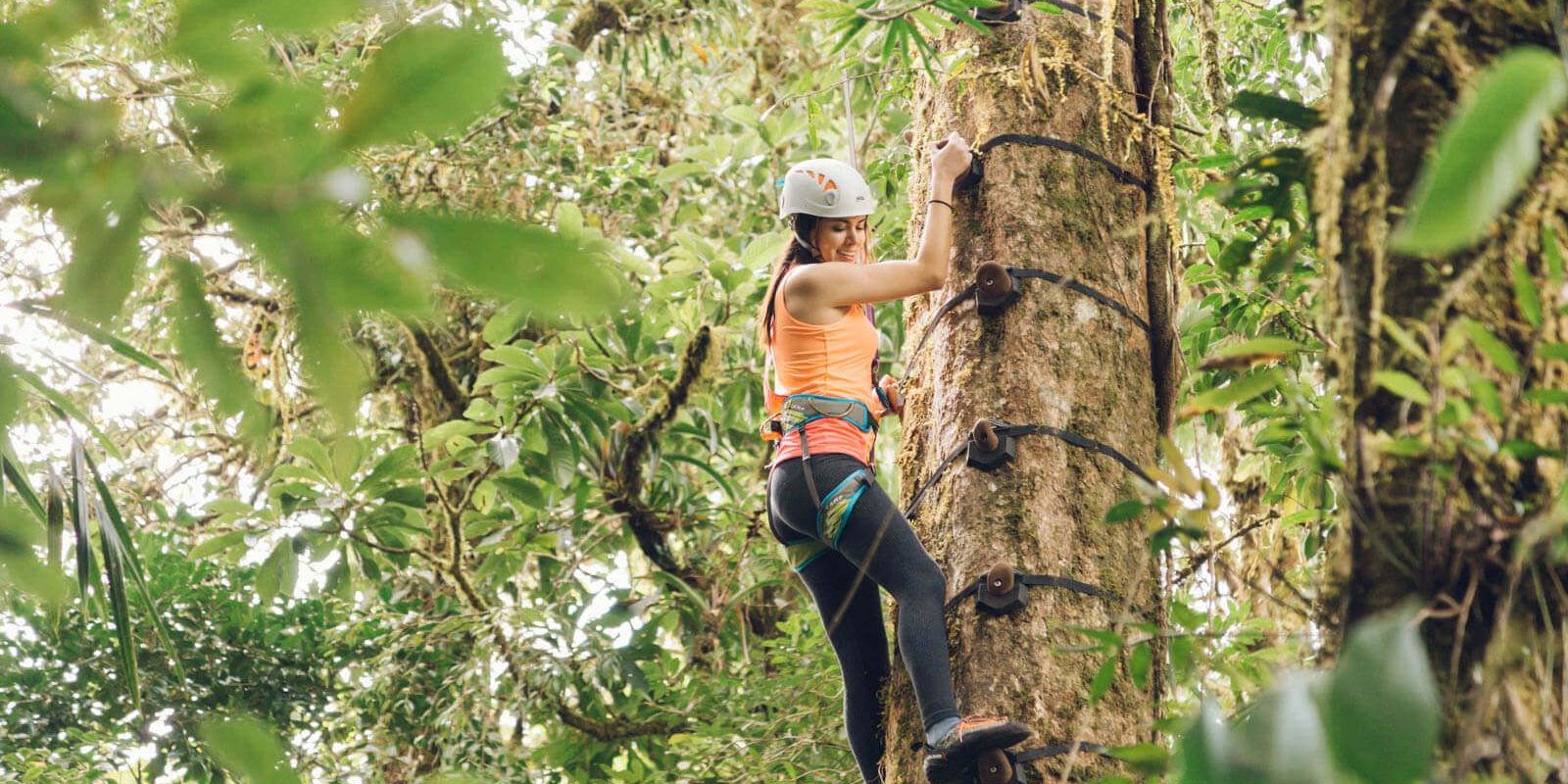 Arboreal Tree Climbing Park Experience in Monteverde Book Tours