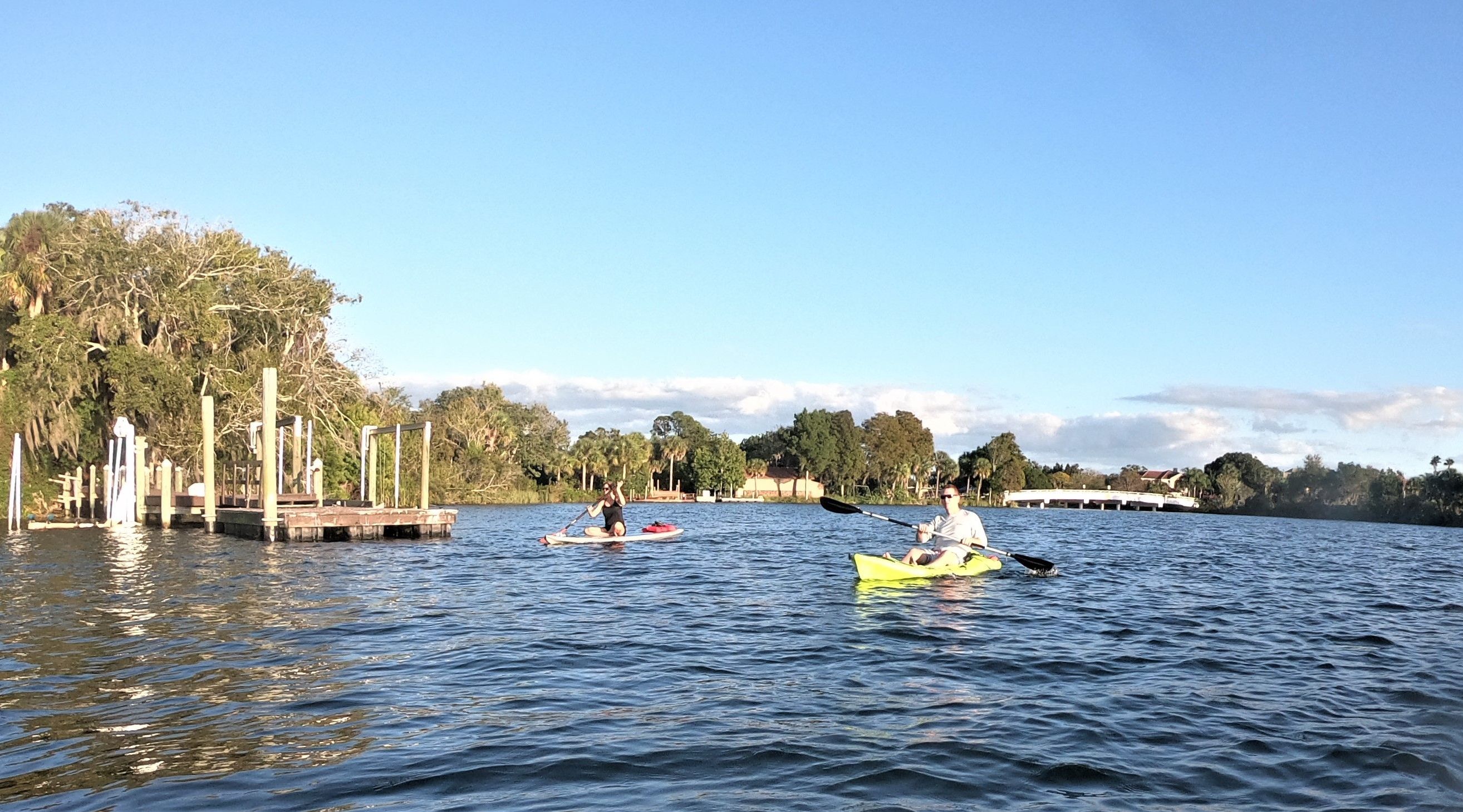FullDay Single Kayak Rental and Manatee Viewing in Crystal River Book