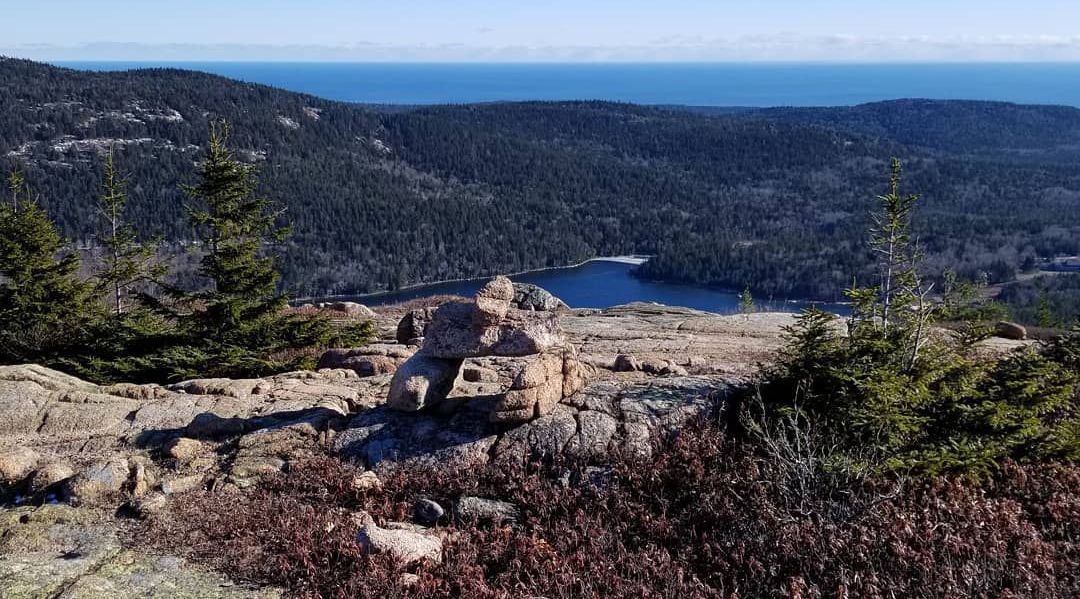 Langley Marina Kayak Tour Book Tours & Activities at