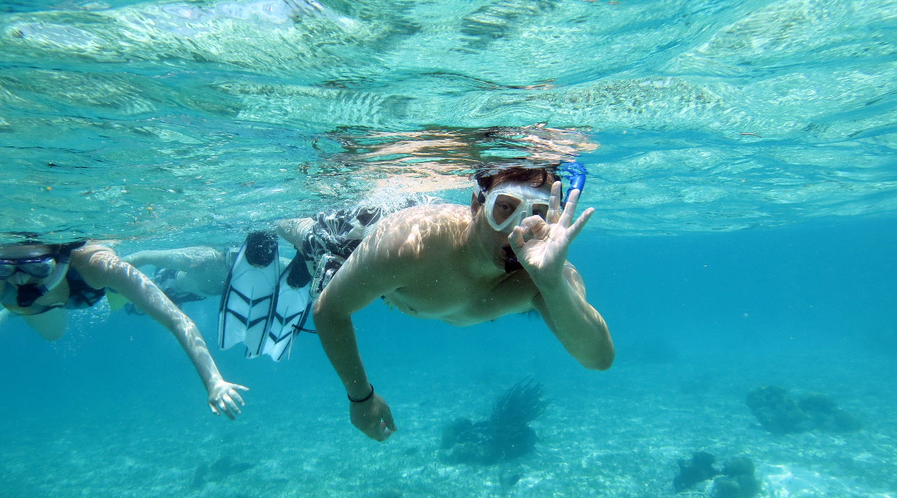 Manatee Snorkeling Tour in Crystal River in Tampa Book Tours
