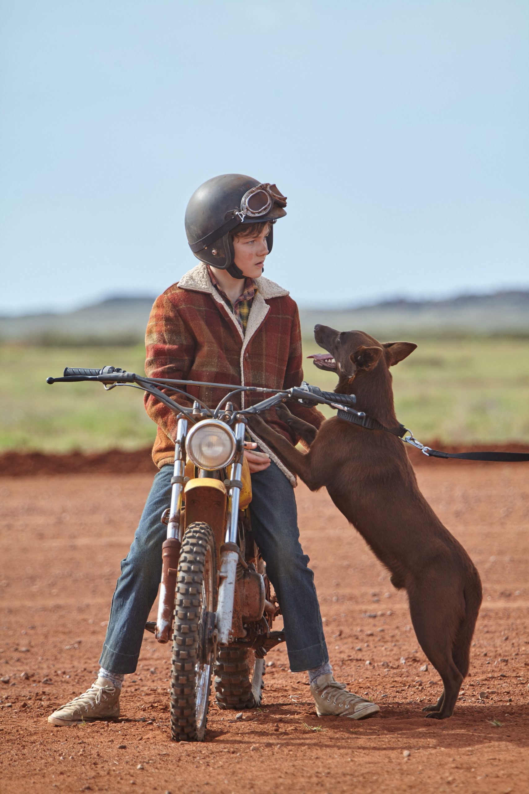 Red Dog DIE FILMAGENTINNEN