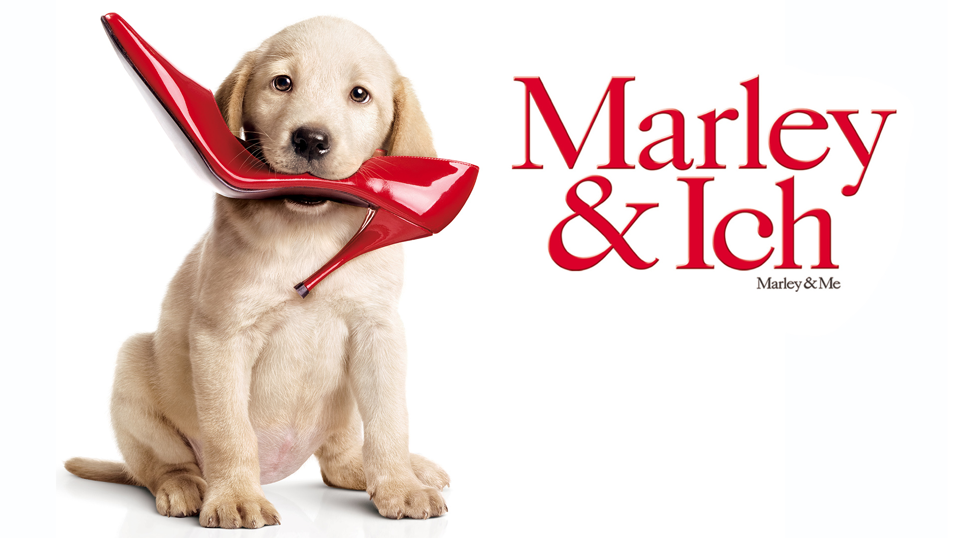 Auch "Marley & Ich" bleibt nicht von einer Serienadaption verschont