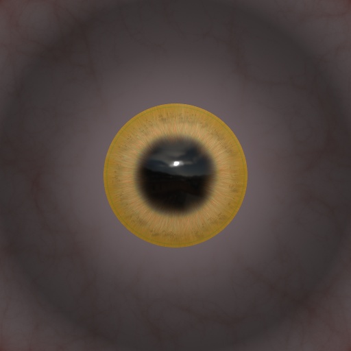 Eye Maps (Texture)