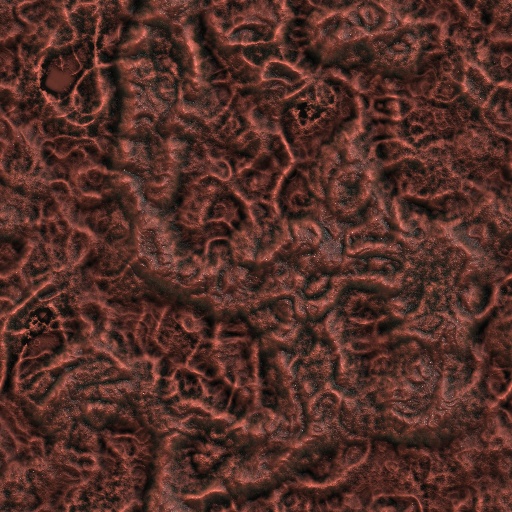 Organic Meat (Texture)