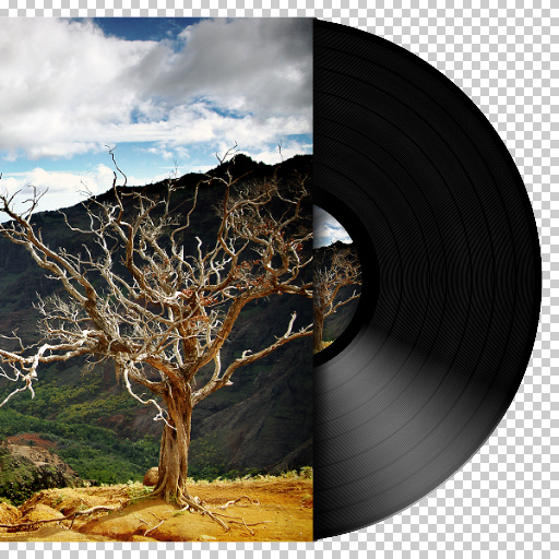 Realistic Vinyl (Effect)