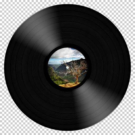 Realistic Vinyl (Effect)