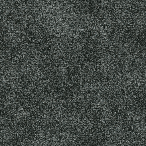 Cut Pile Saxony Carpet (Texture)