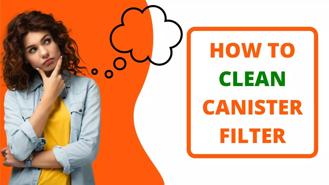 How to Clean Canister Filter? According to Experts