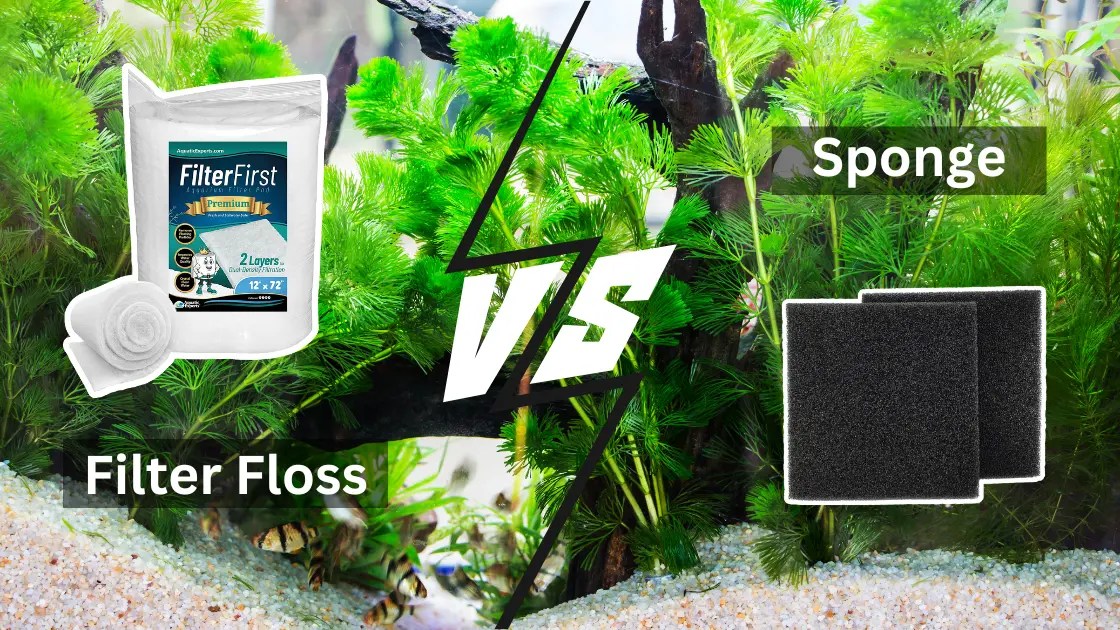 Filter Floss Vs Sponge Which One to Choose?