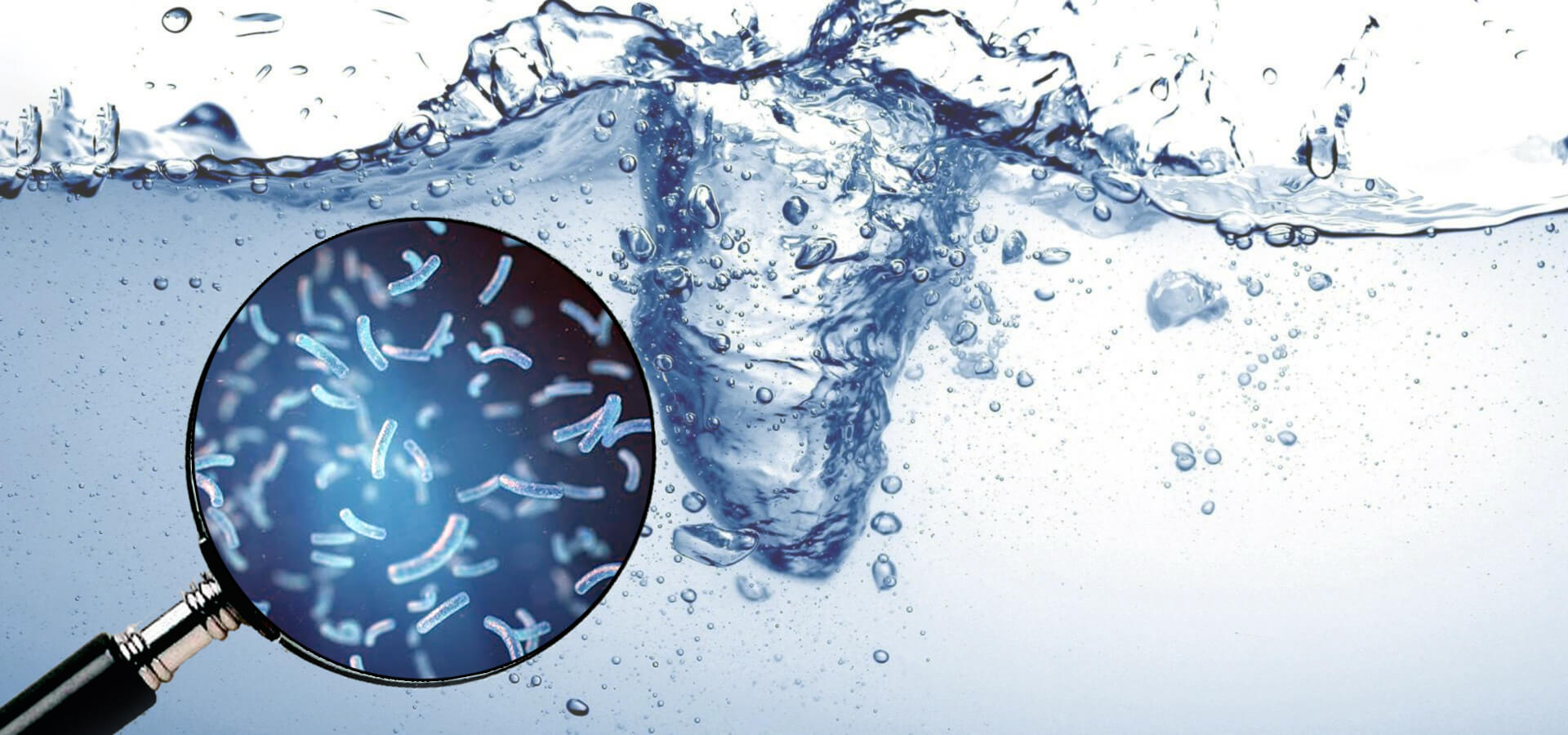 Bacteria In Water water