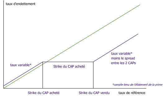 Cap et Floor (options sur taux)