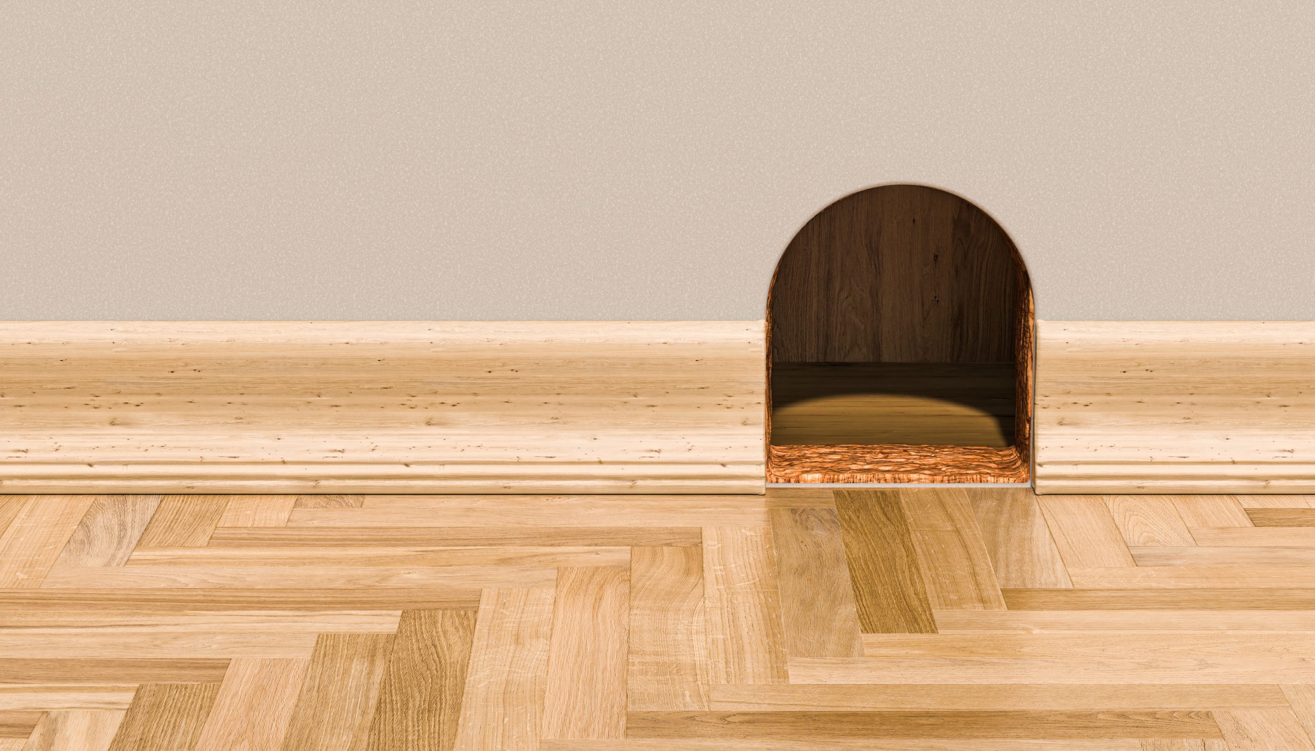 Empresa de Desratización en Madrid Control de Plagas de Ratas