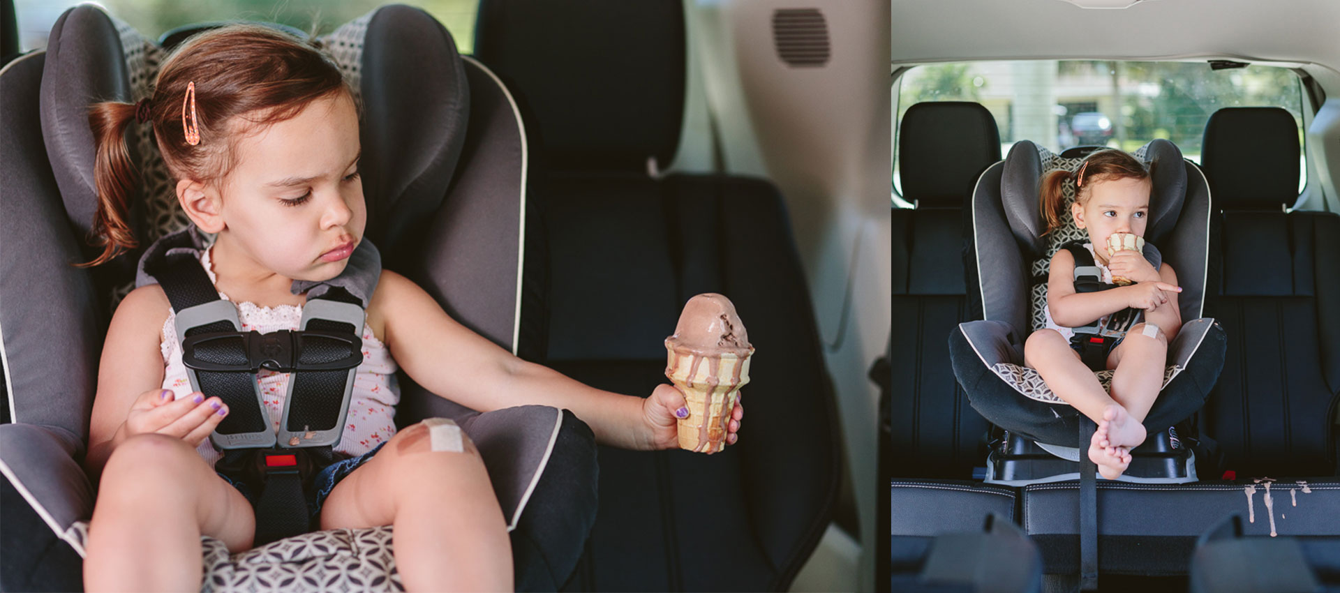 Final Coat Appearance Protection Products