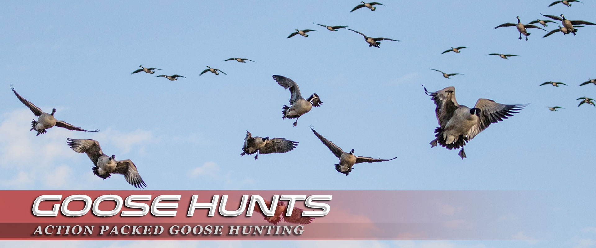 Final Descent Guide Services Lubbock TX Waterfowl Hunting Guide