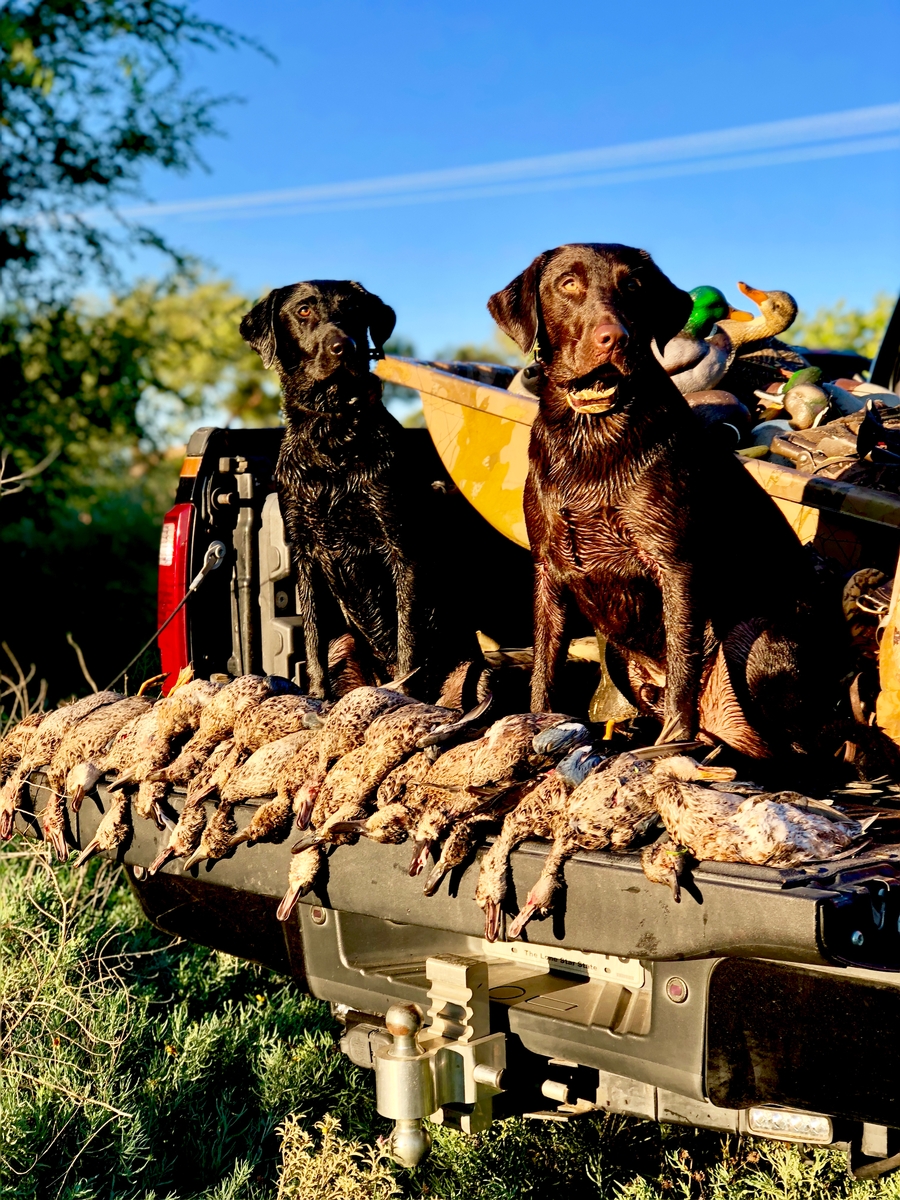 Hunt Teal by Lubbock Texas in West Texas