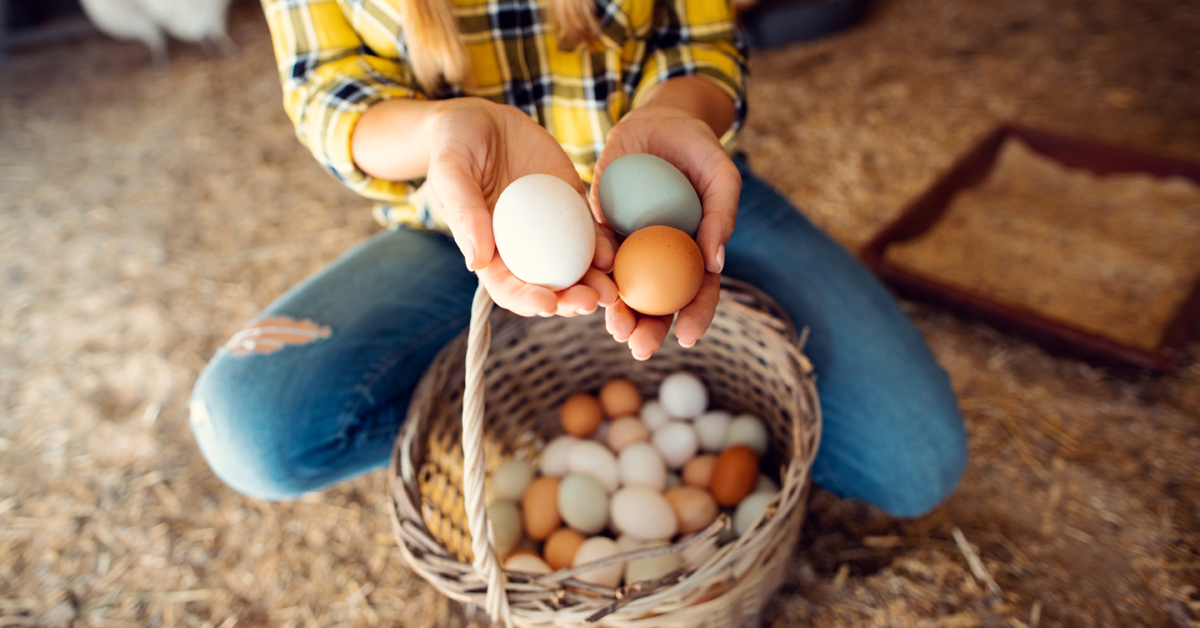 Rural King FINANCE FUND