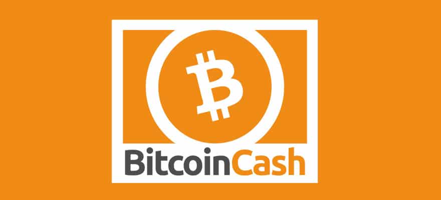 One Bch Address Is Behind 50 Percent Of Total Transactions | Finance Magnates