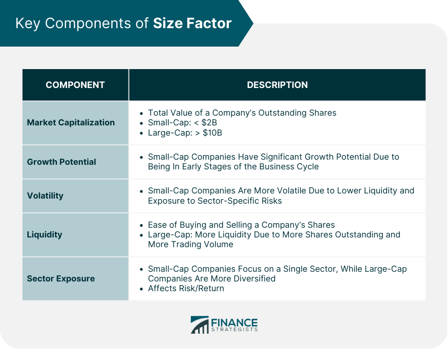 Size Factor Definition, Components, Benefits, and Limitations