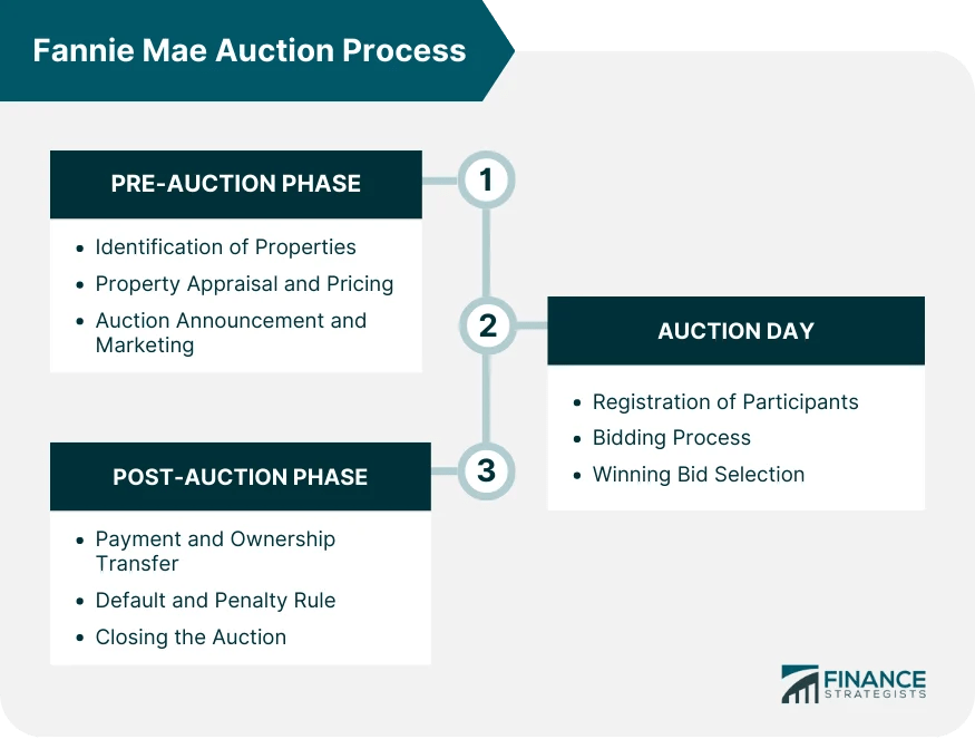 Fannie Mae Auction Process Phase, Special Types, Impact