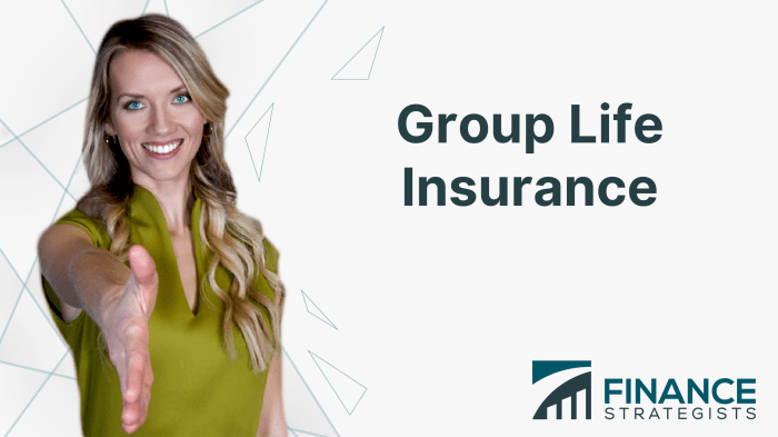 Group Credit Life Insurance (including disability coverage) | SMBC ...