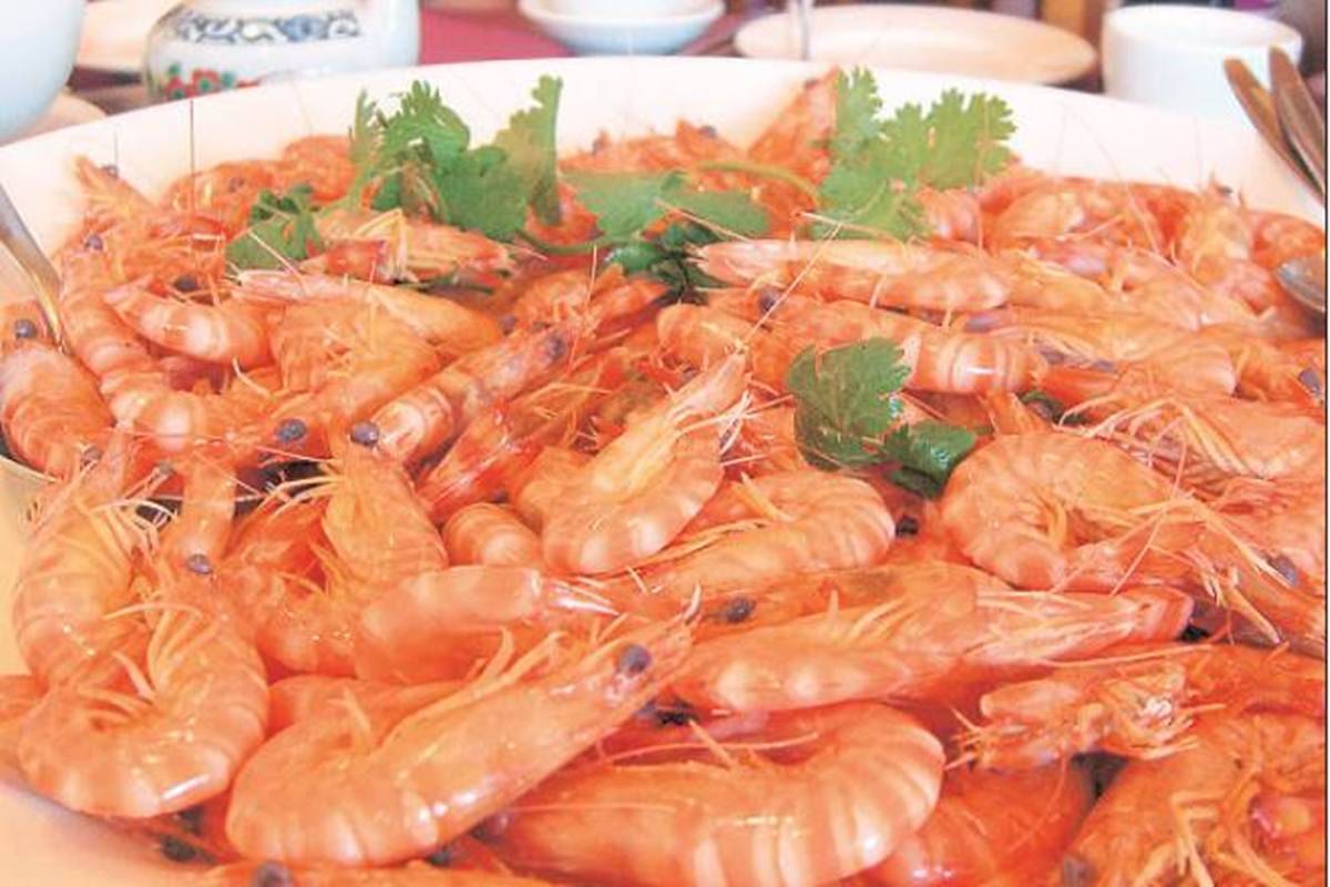 Shrimp exports to grow by 20 pc this year; India likely to regain top spot Report Economy
