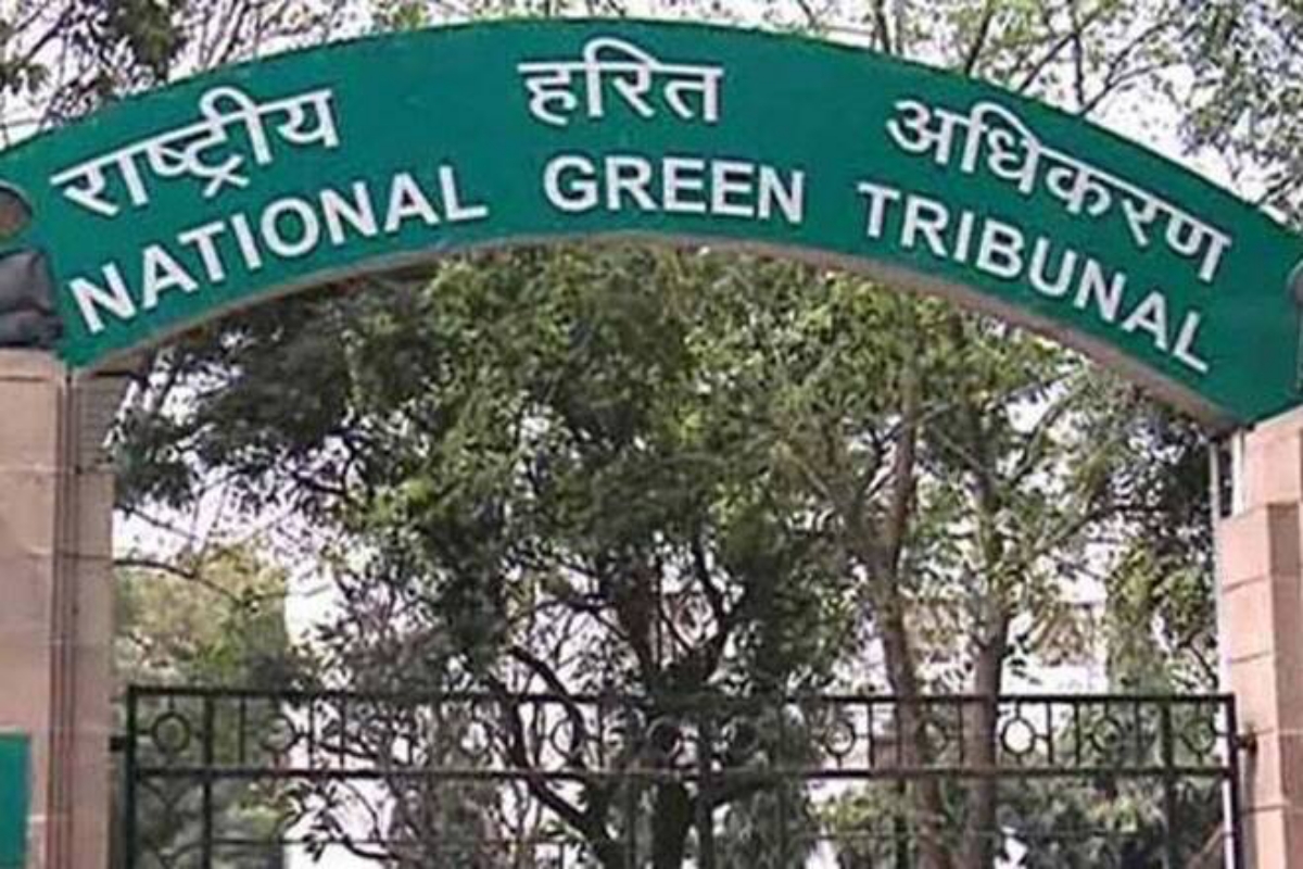 NGT directs Jindal Saw Ltd to pay Rs 4 cr compensation for damaging
